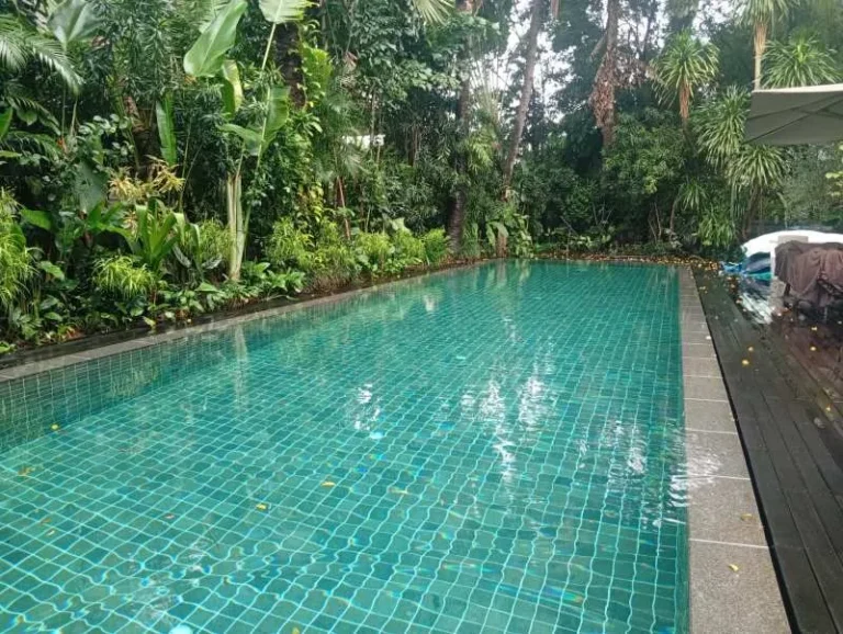 Jasa Perawatan Kolam Renang Giri Loka BSD